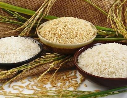  توزیع گسترده برنج ۵۶ تا ۷۰ هزار تومانی آغاز شد 