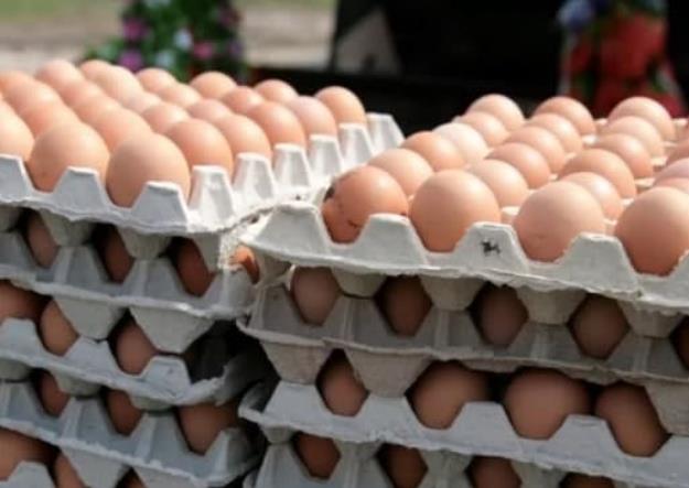 تخم مرغ باز هم گران شد 